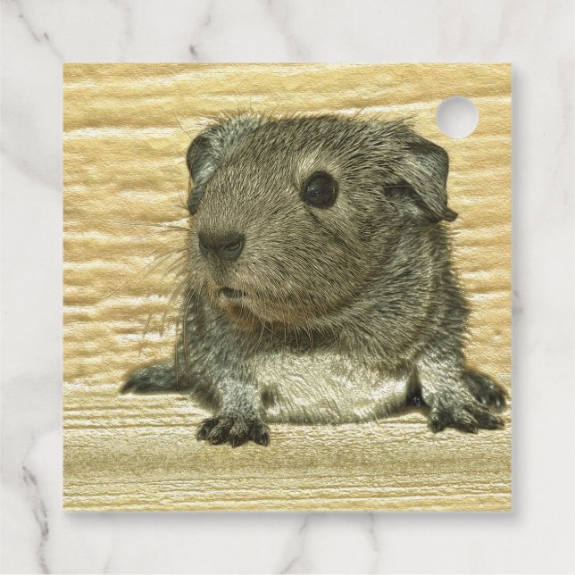 Guinea Geschenkanhänger (Rückseite)