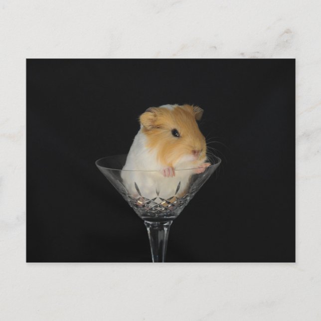 Guinea in einem Weinglas Postkarte (Vorderseite)
