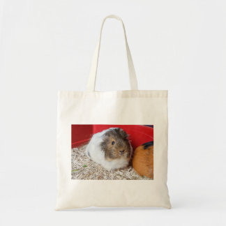 Guinea in Käfigen Tragetasche