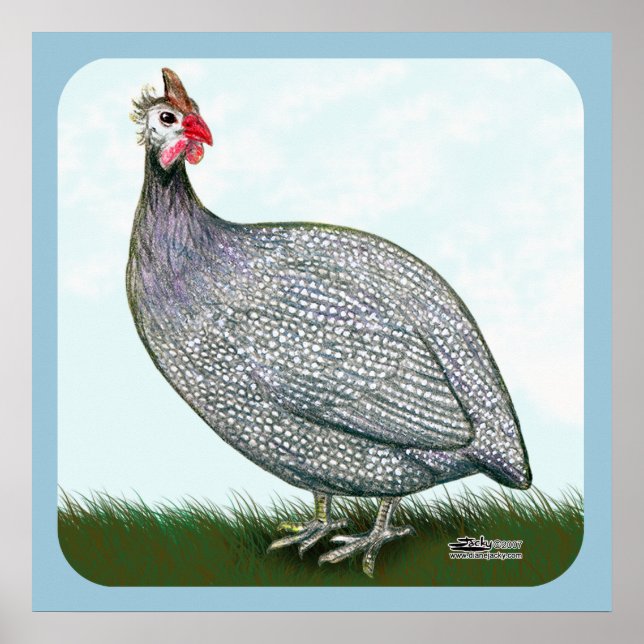 Guinea Lavender Poster (Vorne)