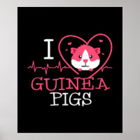 Guinea Liebe Rodent | Heartbeat Guinea Pig