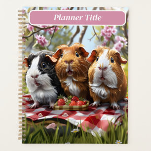 Guinea Picnic Planer