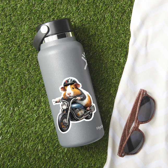 Guinea Pig auf einem Motorrad, Straßenfahrt Aufkleber (HydroFlask Insitu)