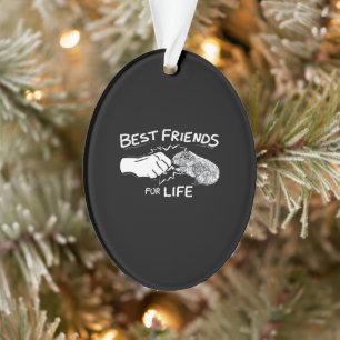 Guinea Pig Best Friends For Life  Funny Guinea Pig