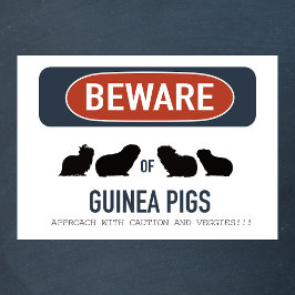 Guinea Pig Beware Poster