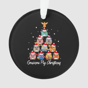 Guinea Pig Christmas