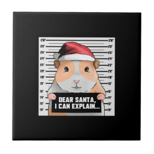 Guinea Pig Christmas Cavy Lieber Santa I kann erkl Fliese