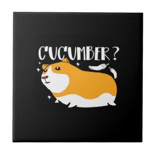 Guinea Pig Cucumber   NIEDLICHE GUINEA   Cooles Ti Fliese