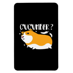 Guinea Pig Cucumber   NIEDLICHE GUINEA   Cooles Ti Magnet