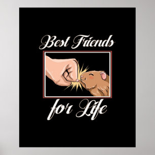 Guinea Pig die besten Lebensfreunde Niedlicher H Poster
