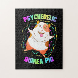 Guinea Pig EDM Party