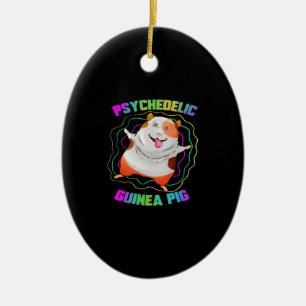 Guinea Pig EDM Party Haustier Farbige Guinea Keramik Ornament