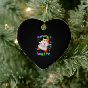 Guinea Pig EDM Party Haustier Farbige Guinea Keramik Ornament