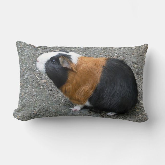 Guinea Pig Foto Lendenkissen (Vorderseite)