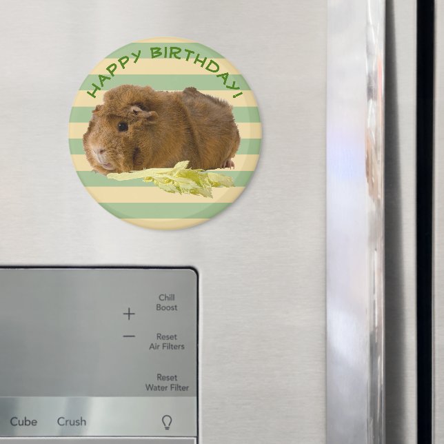 Guinea Pig Fotograph Happy Birthday Template Magnet (In Situ (Kühlschrank))