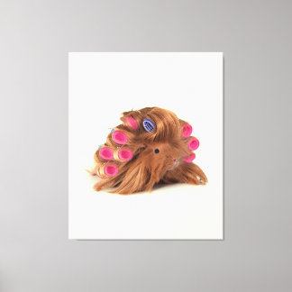 Guinea Pig | Funny Curly Guinea Pig Lover Geschenk Leinwanddruck