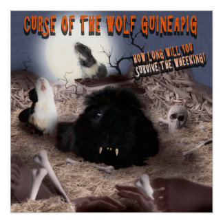 Guinea Pig Halloween Poster