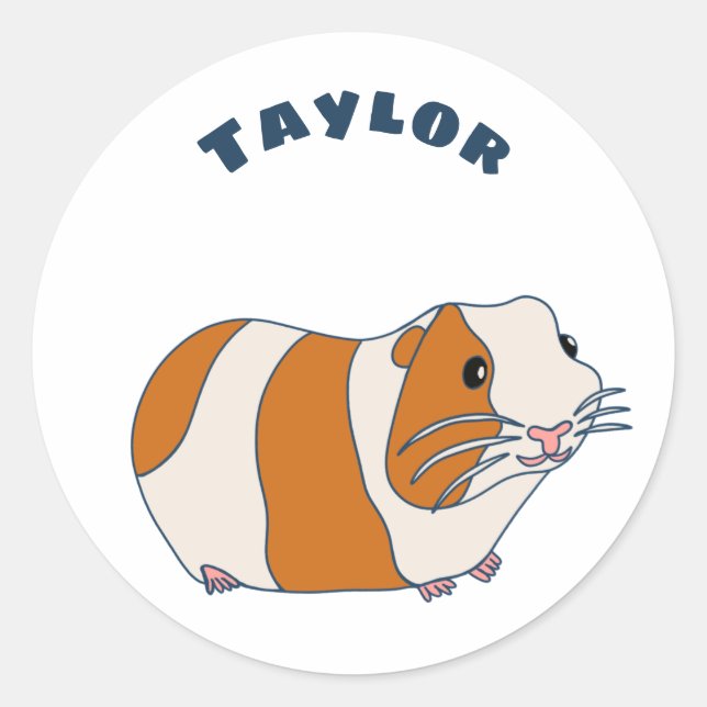 Guinea Pig Illustration Personalisiert Runder Aufkleber (Vorderseite)