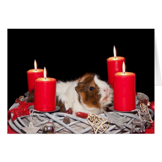 Guinea Pig in Kraut Weihnachtskarte (Vorderseite (Horizontal))