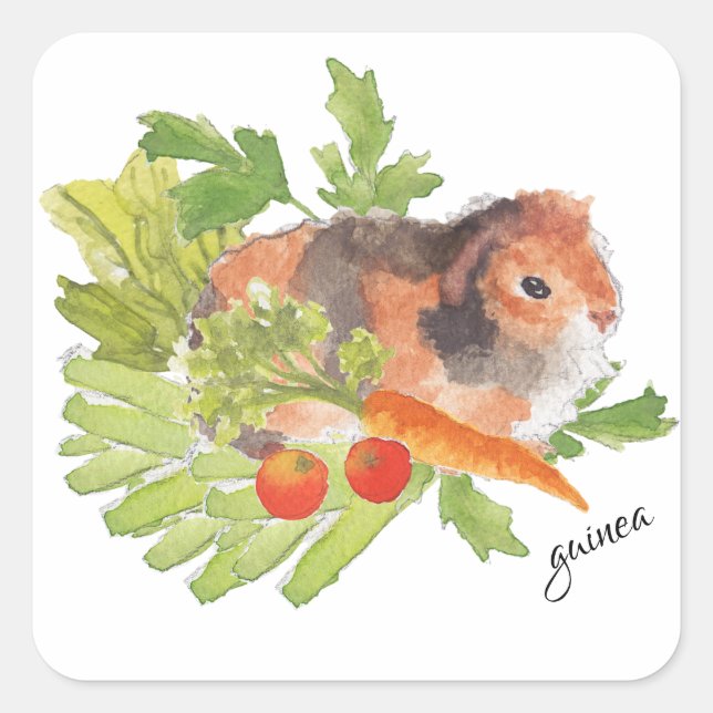 Guinea Pig Leek Carrot Salat Aquarellaufkleber Quadratischer Aufkleber (Vorderseite)