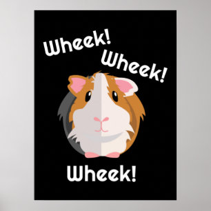 Guinea Pig Liebe Poster