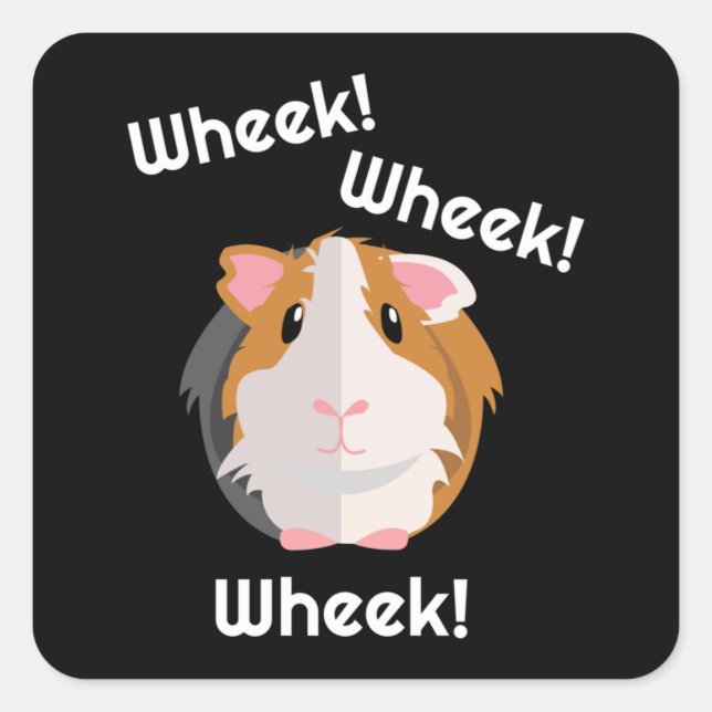 Guinea Pig Love Quadratischer Aufkleber (Vorderseite)