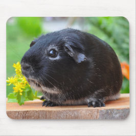 Guinea Pig Mouse Pad Mousepad