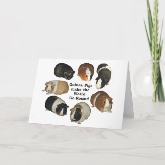 Guinea Pig Note Karte