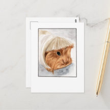 Guinea Pig Pet Selfie - DNM Postkarten