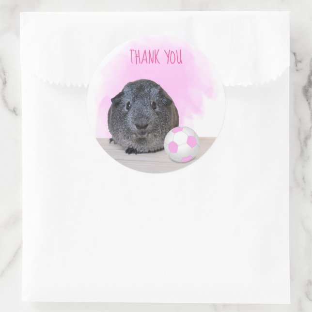 Guinea Pig Pink Fußball Ball Danke Runder Aufkleber (Tasche)