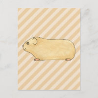 Guinea Pig.