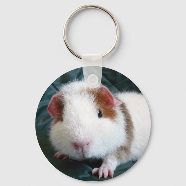 Guinea Pig Schlüsselanhänger (Vorderseite)