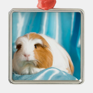 guinea pig silbernes ornament