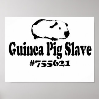 Guinea Pig Slave Poster