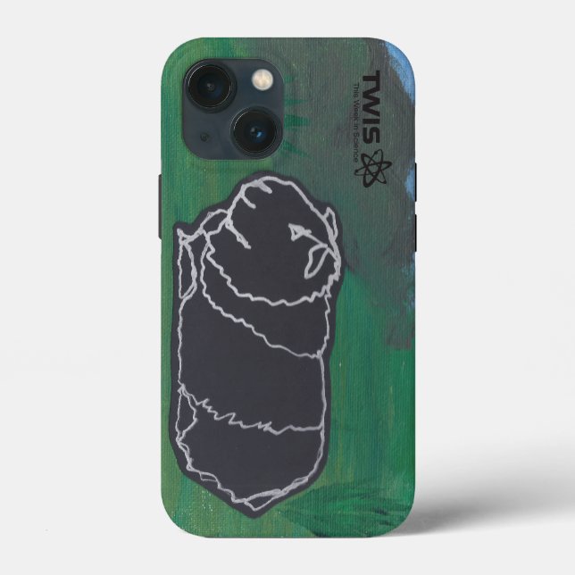Guinea Pig TWIS iPhone Case (Rückseite)