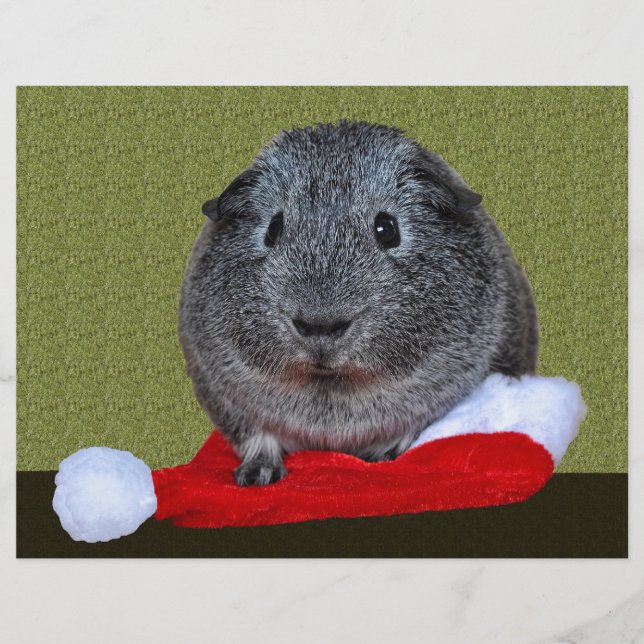Guinea Pig Weihnachten (Vorderseite)