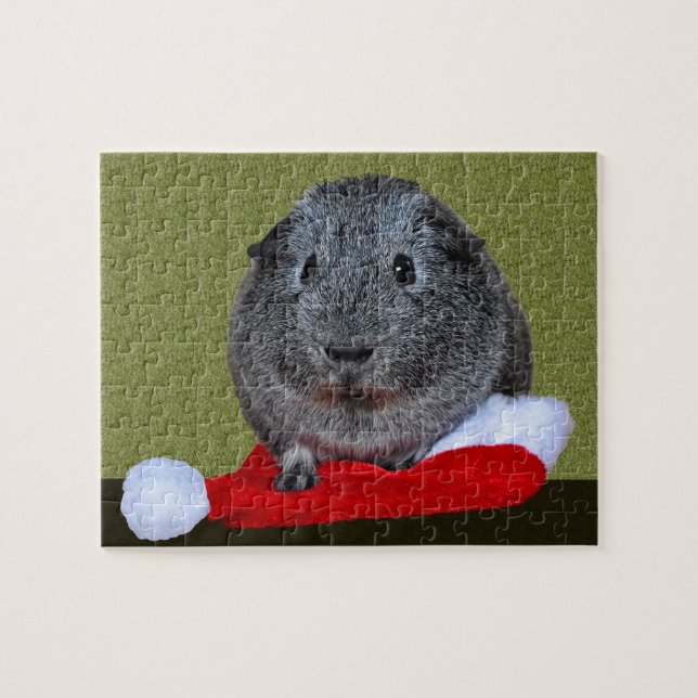 Guinea Pig Weihnachten (Horizontal)