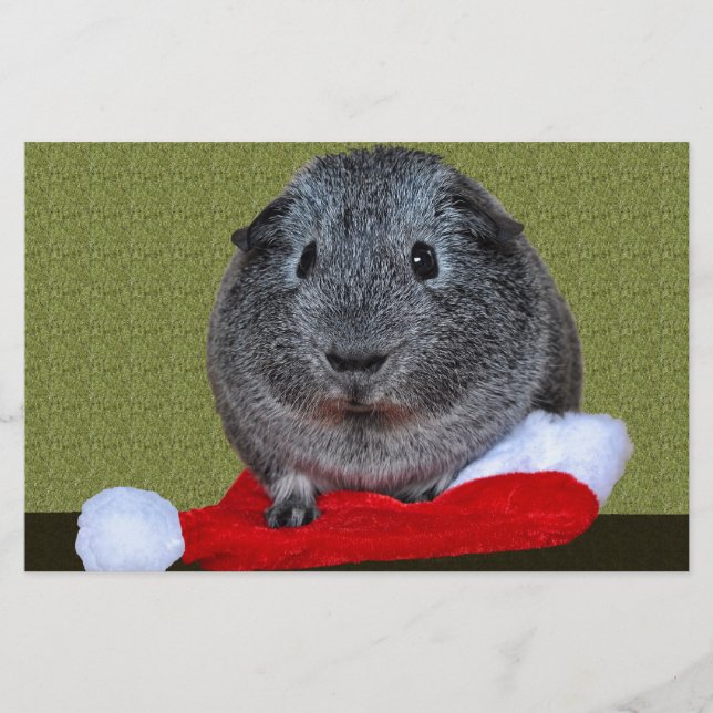 Guinea Pig Weihnachten Briefpapier (Vorderseite)
