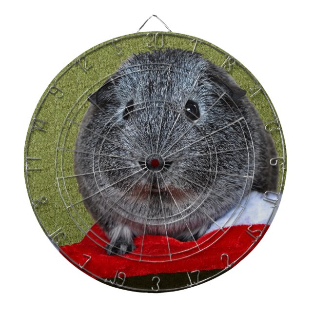 Guinea Pig Weihnachten Dartscheibe (vorne)