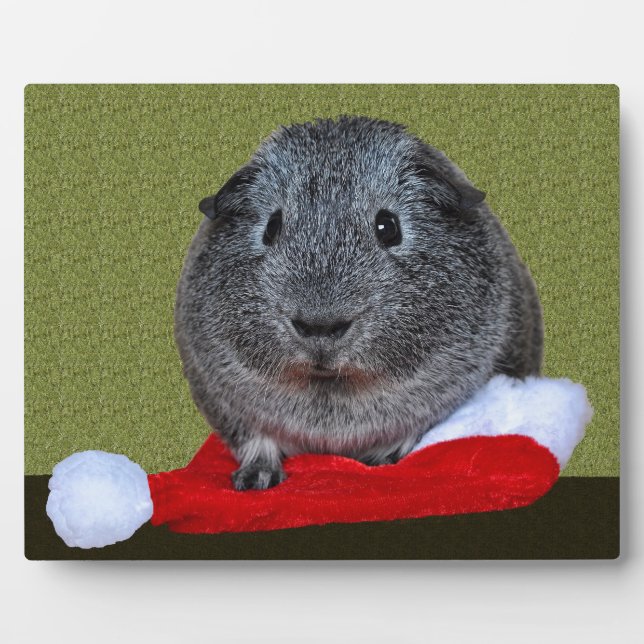 Guinea Pig Weihnachten Fotoplatte (Vorderseite)