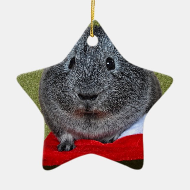 Guinea Pig Weihnachten Keramik Ornament (Vorne)