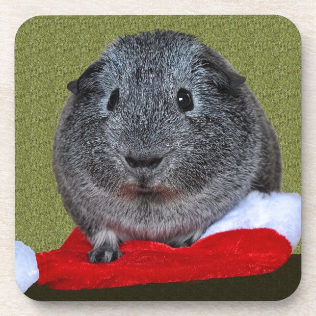 Guinea Pig Weihnachten Untersetzer (Vorderseite)