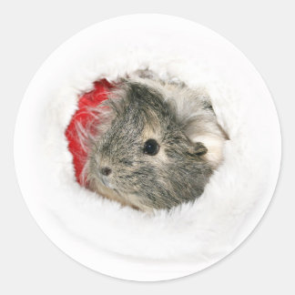 Guinea Pig Weihnachtskleber Runder Aufkleber