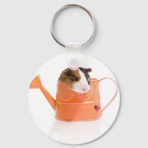 Guinea Pigs in Watercan Schlüsselanhänger