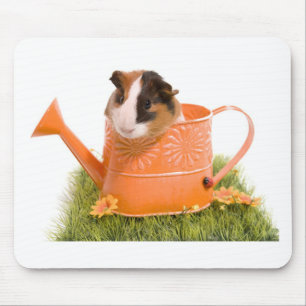 guinea pigs man hat lawn mousepad