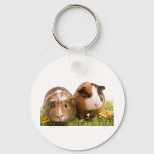 guinea pigs man hat lawn schlüsselanhänger