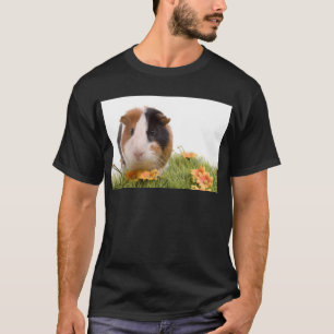 guinea pigs man hat lawn T-Shirt