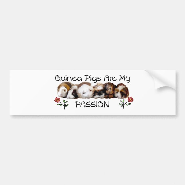 GUINEA PIGS PASSION.jpg Autoaufkleber (Vorne)