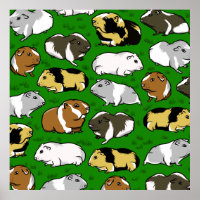 Guinea