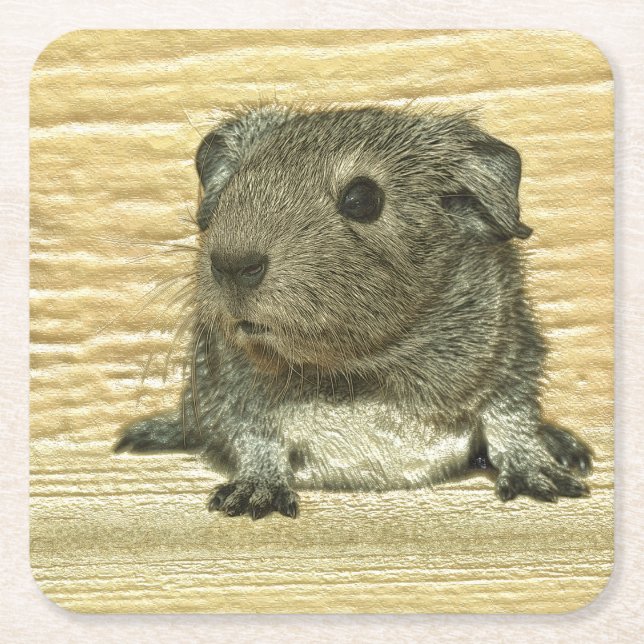 Guinea Rechteckiger Pappuntersetzer (Vorderseite)